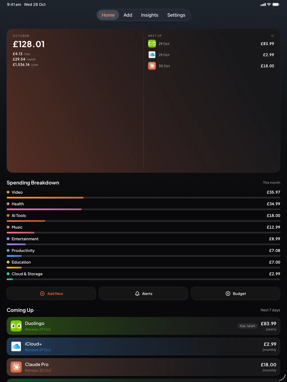 Burn on iPad: the same Ledger, spending breakdown and Coming Up as on iPhone, with more room.