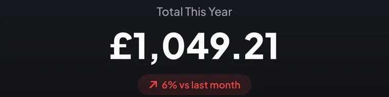 Total this year: £1,049.21, up 6% on last month.